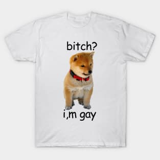 b*tch? i,m gay shiba T-Shirt